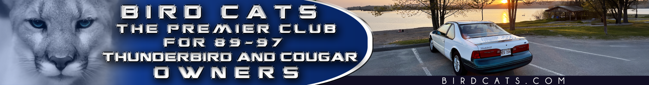 WebBanner Design_LoganB.png