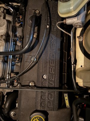 IMG_7810.jpeg IMG_7810.jpeg