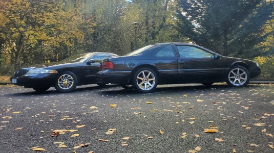 20251102_150249.jpg 20251102_150249.jpg