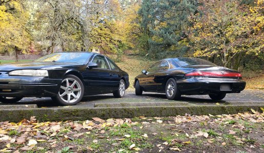 20251102_150652.jpg 20251102_150652.jpg