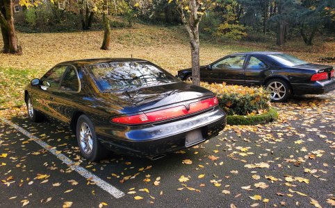 20251102_152016.jpg 20251102_152016.jpg