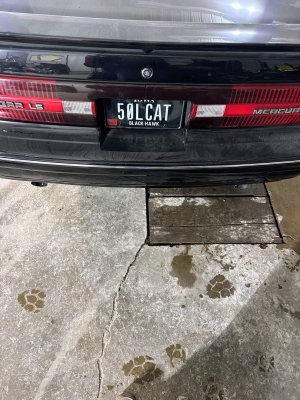 1000001812.jpg 1000001812.jpg