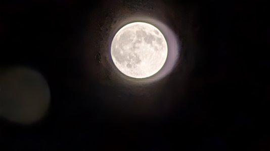 PXL_20251105_053210716.jpg PXL_20251105_053210716.jpg