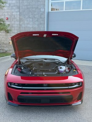 IMG_7851.jpeg IMG_7851.jpeg