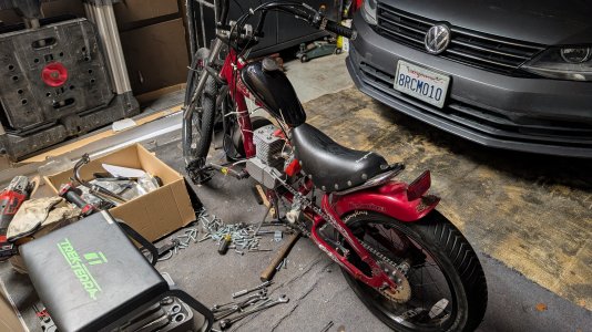 PXL_20251115_053112788.jpg PXL_20251115_053112788.jpg