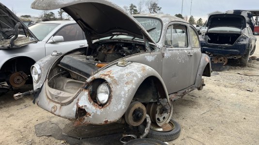 IMG_5047.jpeg IMG_5047.jpeg