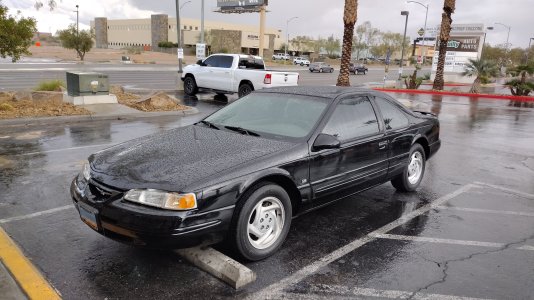 Bird rain 11192025A.jpg