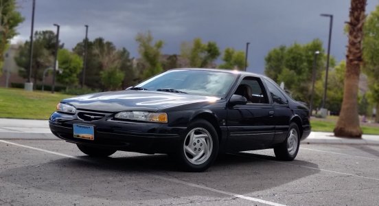 Bird Hero Park 1A.JPG