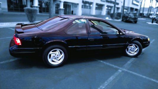 Bird SWD Starboard 2.jpg