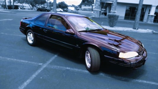 Bird Starboard 1.jpg