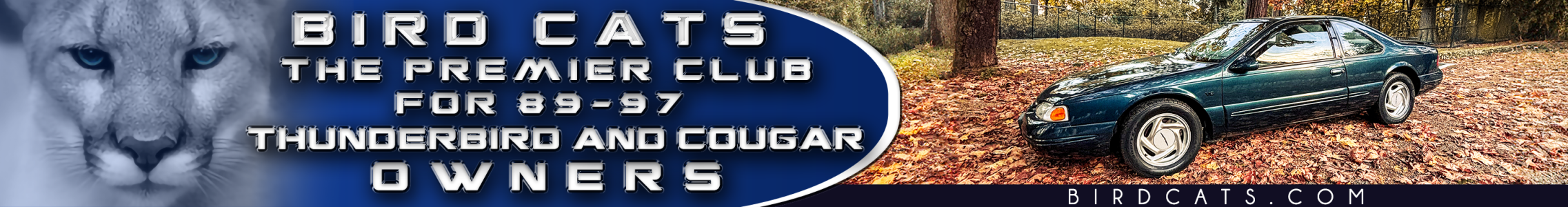 WebBanner Design_GreenT_DEC_2025.png