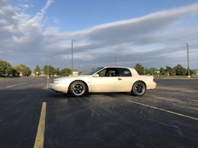 IMG_7161.jpeg IMG_7161.jpeg