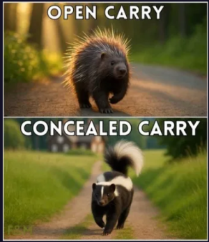 Screenshot 2025-12-06 182243.png