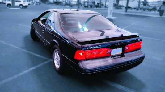 Bird NOPLATES Rear 1.jpg