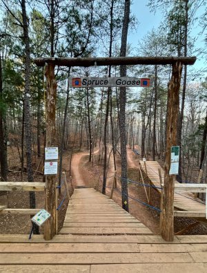 IMG_5911.jpeg IMG_5911.jpeg