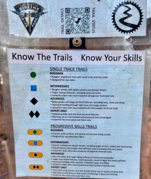 IMG_5915.jpeg IMG_5915.jpeg