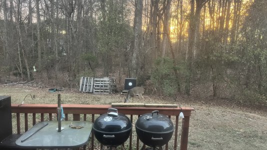 IMG_5110.jpeg IMG_5110.jpeg