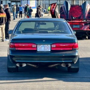 IMG_5930.jpeg IMG_5930.jpeg