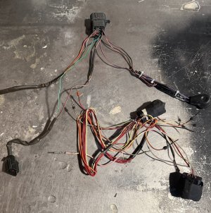 IMG_4613.jpeg IMG_4613.jpeg