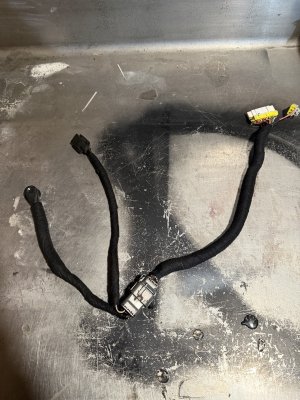 IMG_4615.jpeg IMG_4615.jpeg