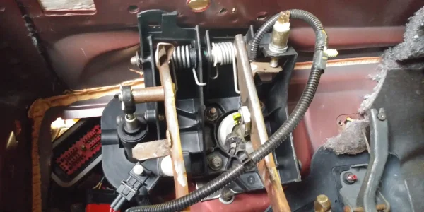 IMG_7989.webp IMG_7989.webp