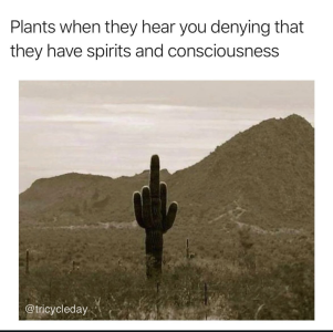 Screenshot 2026-01-02 at 10.52.56.png