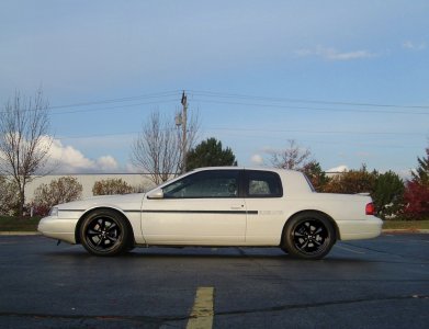 IMG_8020.jpeg IMG_8020.jpeg