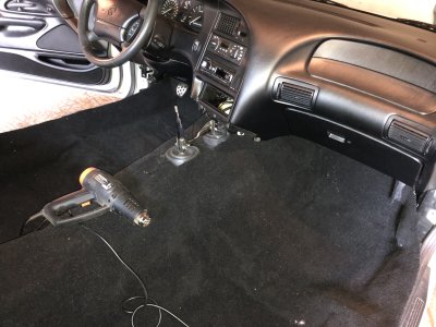 IMG_4389.jpeg IMG_4389.jpeg