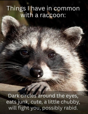 Screenshot 2026-01-13 070355.png