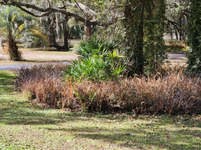 1769618367284.jpeg 1769618367284.jpeg