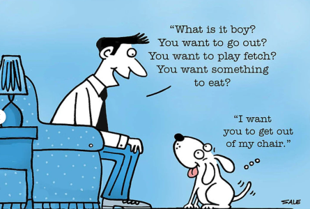 Screenshot 2026-01-28 150014.png