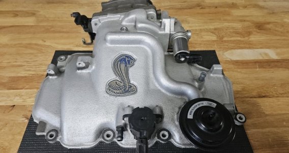 IMG_8134.jpeg IMG_8134.jpeg