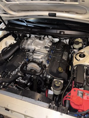 IMG_7816.jpeg IMG_7816.jpeg