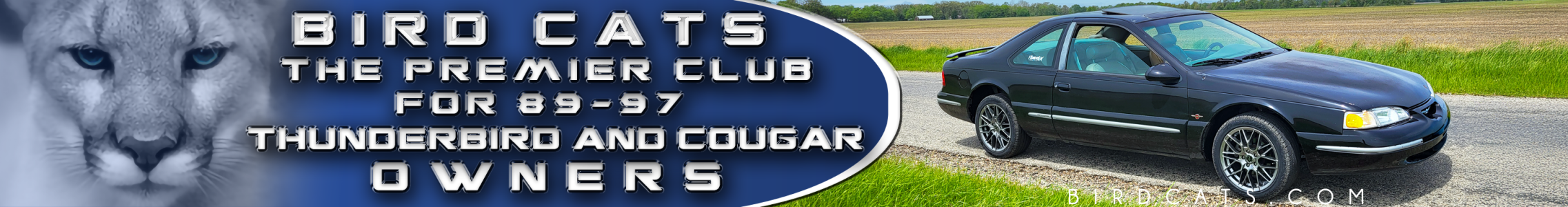 WebBanner Design_LukesCougar FEB 2026.png WebBanner Design_LukesCougar FEB 2026.png