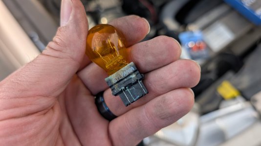 PXL_20260201_234507209.jpg PXL_20260201_234507209.jpg