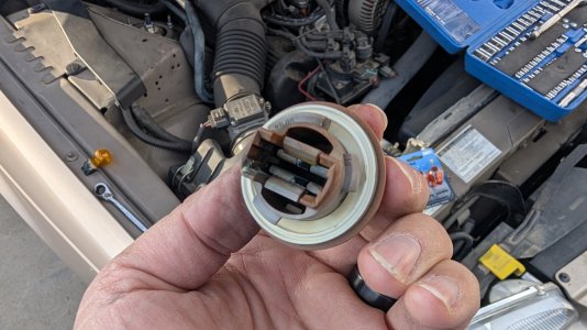 PXL_20260201_234456812.jpg PXL_20260201_234456812.jpg