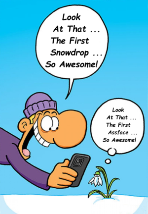 Screenshot 2026-02-06 162508.png