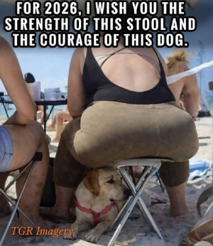 Screenshot 2026-02-13 200055.png