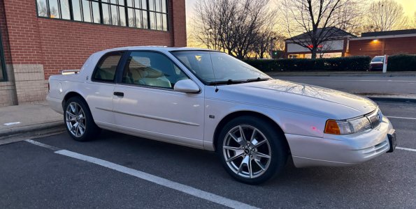 IMG_6149.jpeg IMG_6149.jpeg