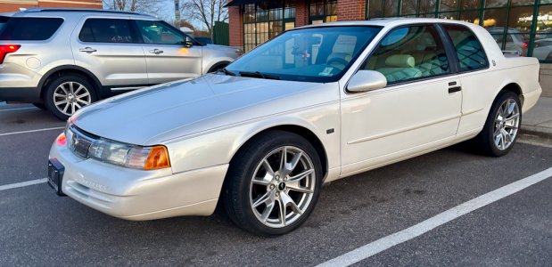 IMG_6153.jpeg IMG_6153.jpeg