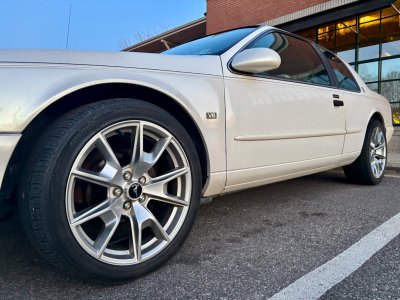 IMG_6154.jpeg IMG_6154.jpeg