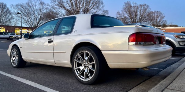 IMG_6155.jpeg IMG_6155.jpeg