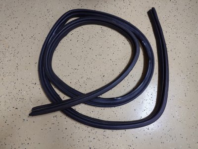 20260219_205035 (Large).JPG