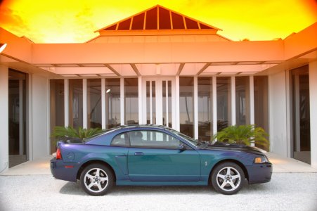 04MustangMystic07_hr (Large).jpg