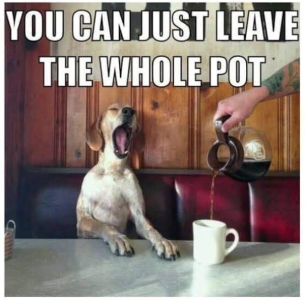 Screenshot 2026-02-22 062844.png