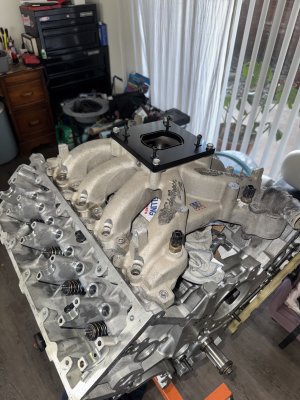 IMG_9987.jpeg IMG_9987.jpeg