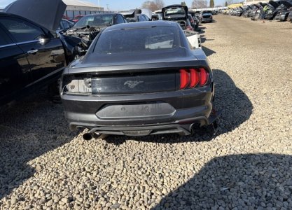 IMG_8316.jpeg IMG_8316.jpeg