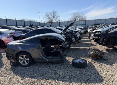 IMG_8317.jpeg IMG_8317.jpeg