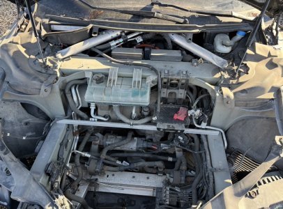 IMG_8319.jpeg IMG_8319.jpeg