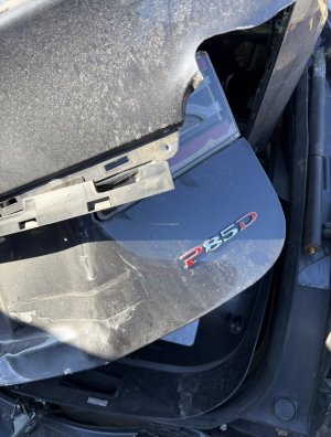 IMG_8320.jpeg IMG_8320.jpeg